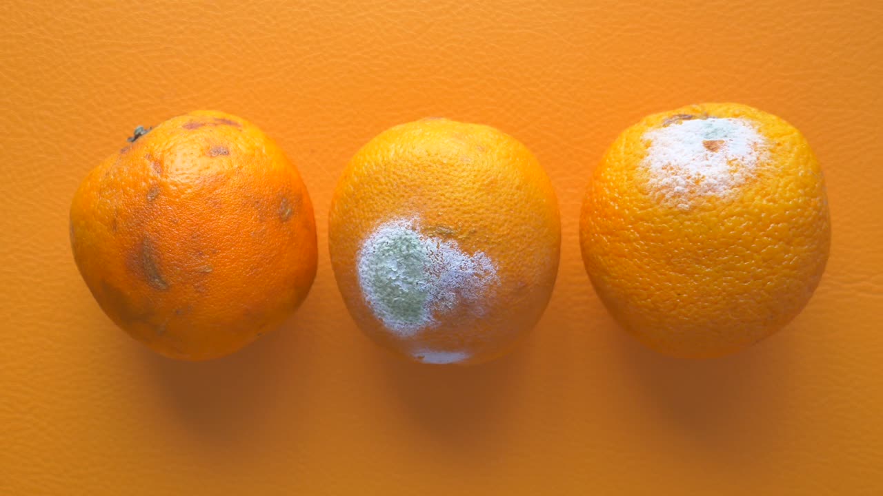 naranjas con moho