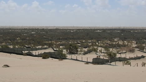 sand dune invading the land