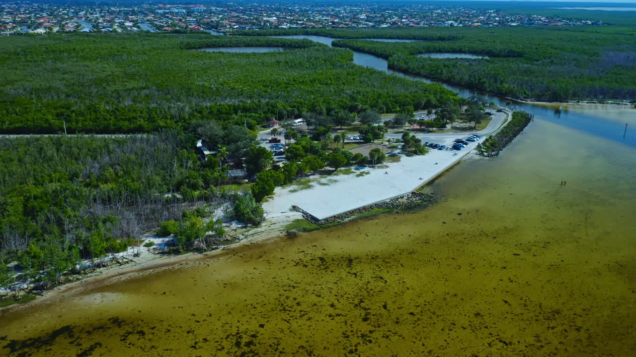 Un denso bosque de manglares verdes bordea las tranquilas aguas costeras de color marrón, con una pequeña playa y una zona de aparcamiento cerca de una zona urbanizada en un entorno costero llano bajo un cielo despejado.