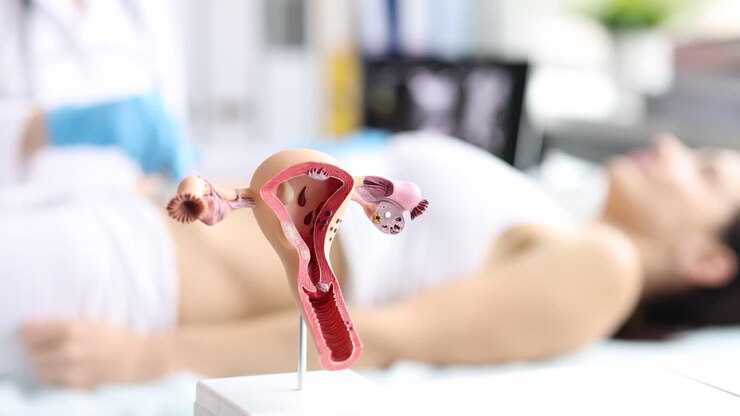 Gynecological Examination