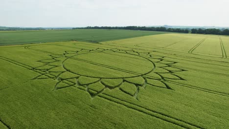 breathtaking pattern of crop circles in grass farmland, aerial drone view