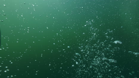 burbujas que surgen en la columna de agua durante una inmersión