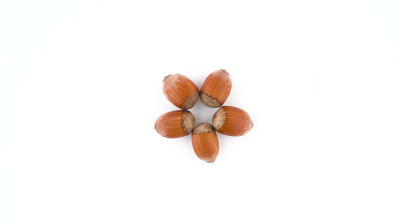 Five star shaped unshelled raw hazelnuts. Rotating on the turntable isolated on the white background. Close up. Macro.