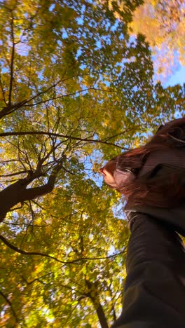 paisaje de árboles de otoño
