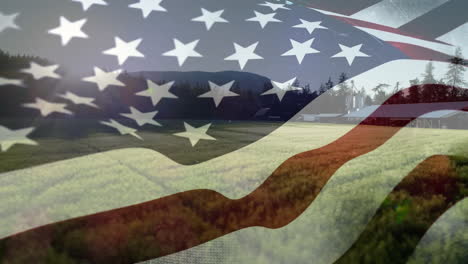 american flag and a field