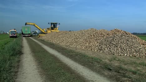 pan shot over pile of sugar beets after harvest near straubing in bavaria, germany