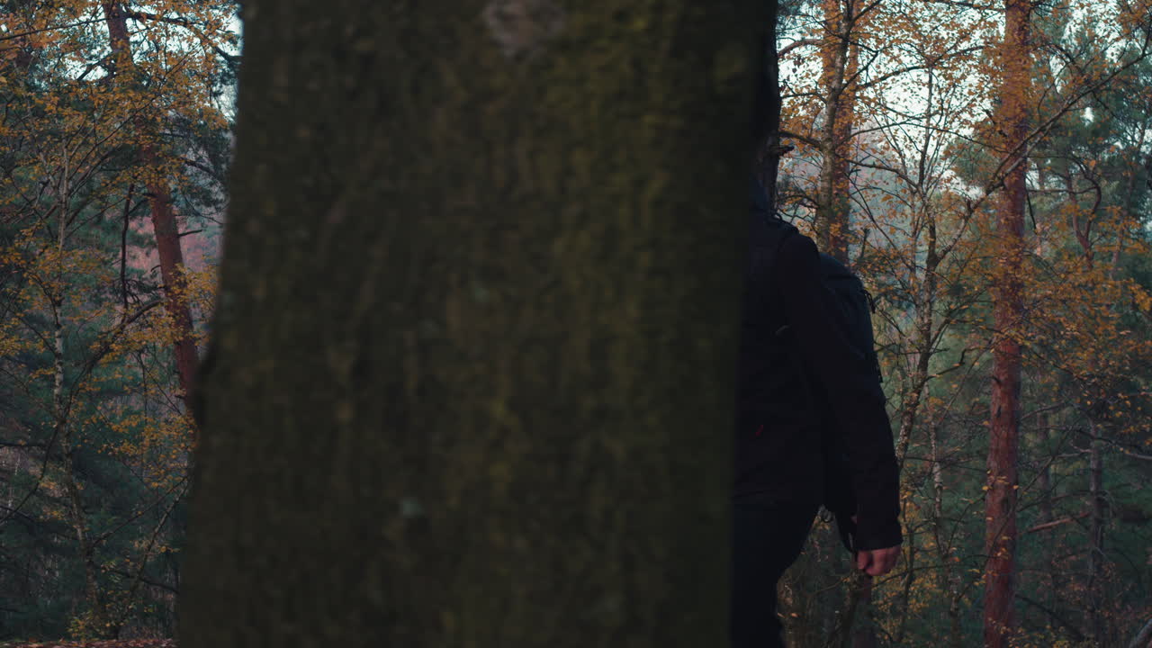 Tourist wearing face mask and walking in forest, life after covid pandemic, long side view shot
