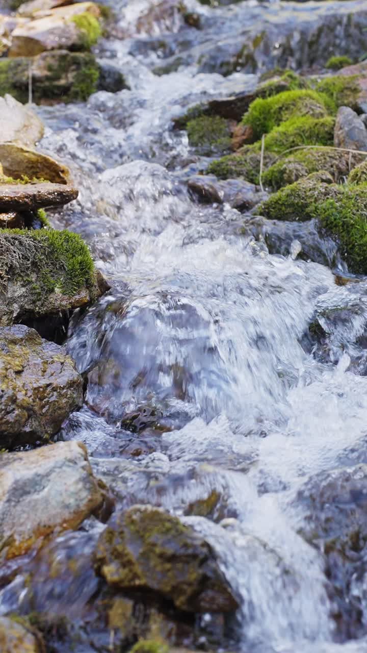 Acqua limpida scorre su pietre muschiose. Acqua calma e fresca scorre attraverso un terreno roccioso. Muschio verde si aggrappa a ogni pietra. Il ritmo tranquillo della natura è pacifico e rilassante. Perfetto per la natura, il relax.