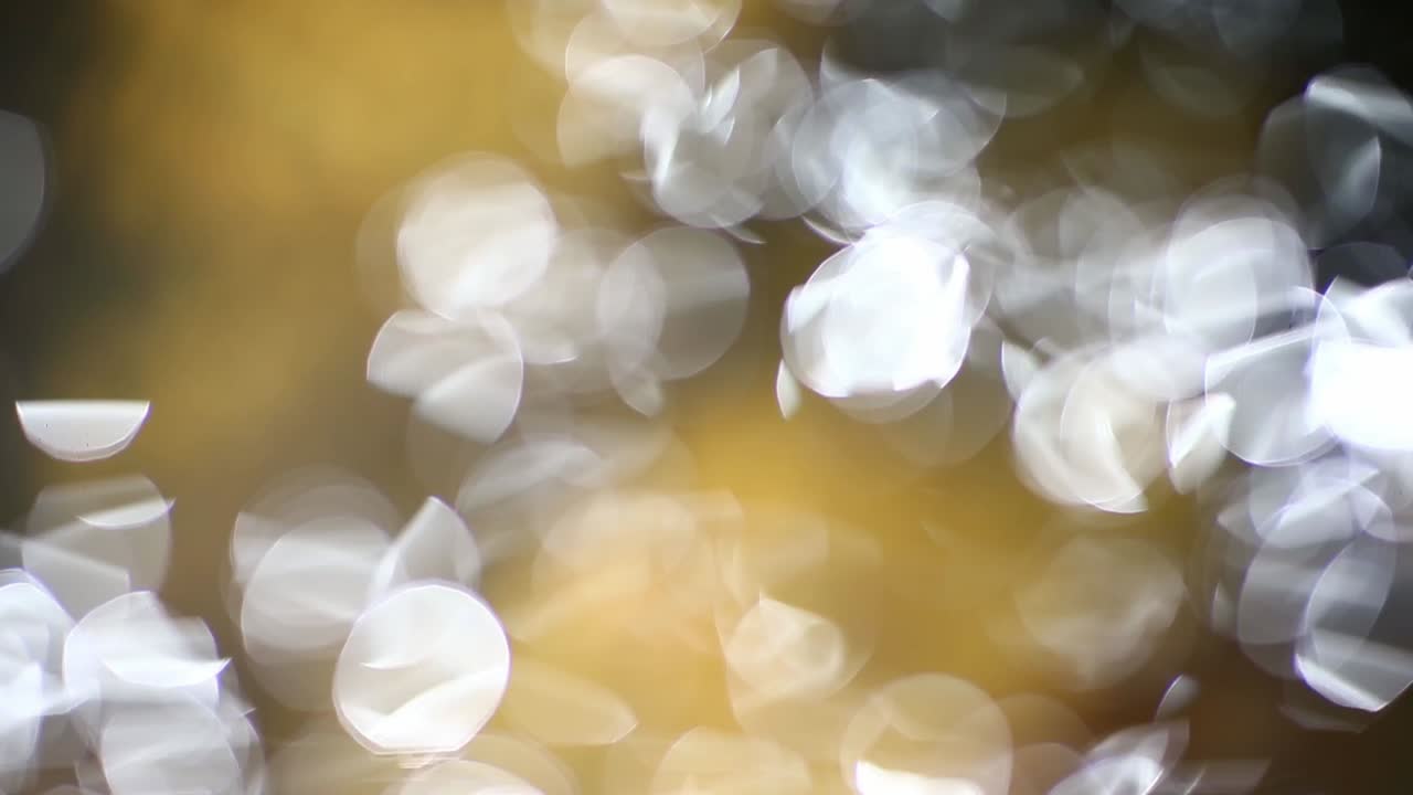 박이는 보케 조명 배경으로 추상적인 흐릿함