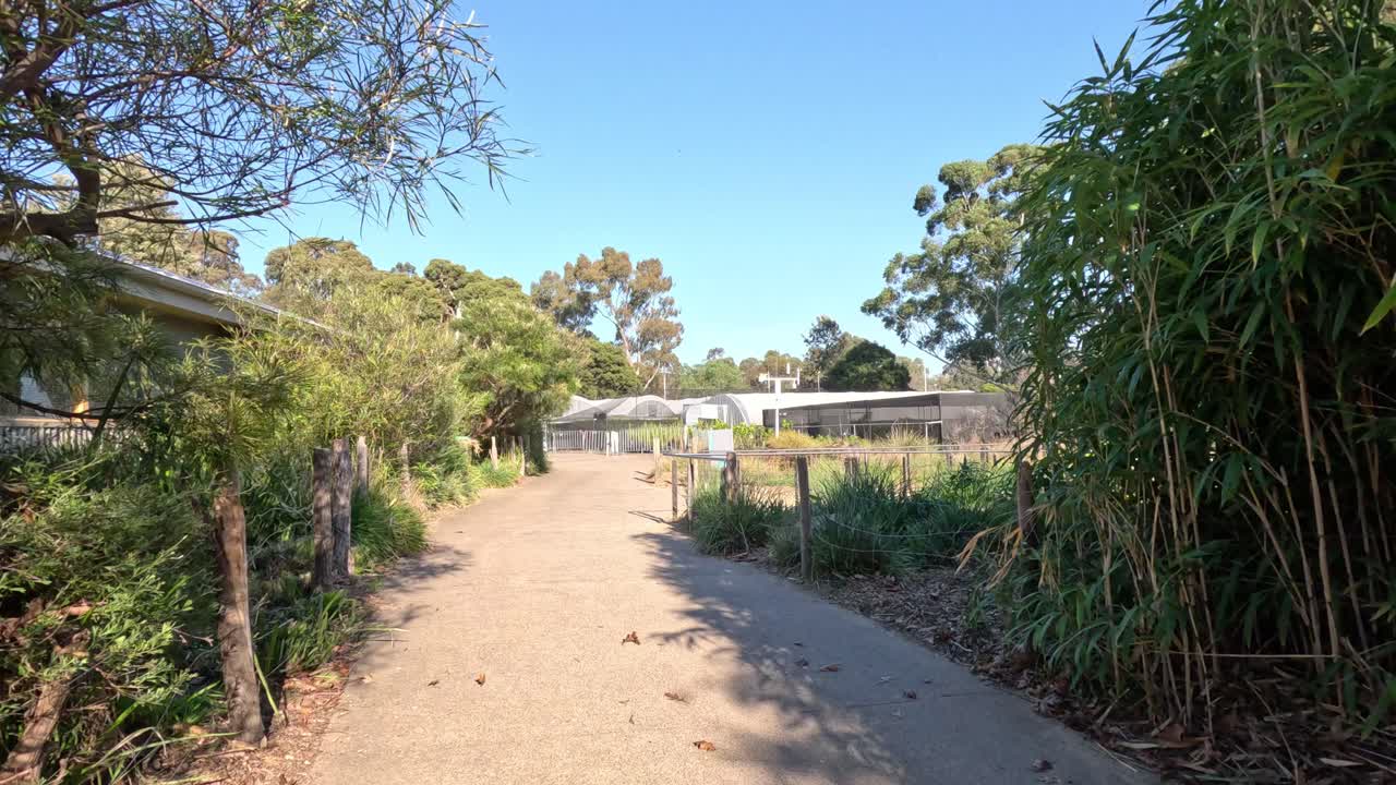 멜버른 동물원을 통한 조용한 산책