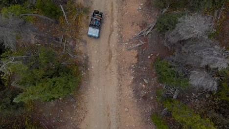 pareja y perro conducen un jeep por una carretera de alta montaña alpina a través de los árboles en las montañas rocosas de colorado