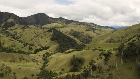 Vuelo-Aéreo-Hacia-El-Hermoso-Valle-De-Cocora-Durante-El-Día