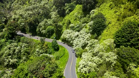 Camino-A-Hana---Famoso-Y-Hermoso-Lugar-Turístico-En-La-Isla-Hawaiana-De-Maui---Antena