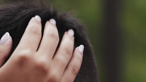 lady hand touches gently short hair of beloved boyfriend