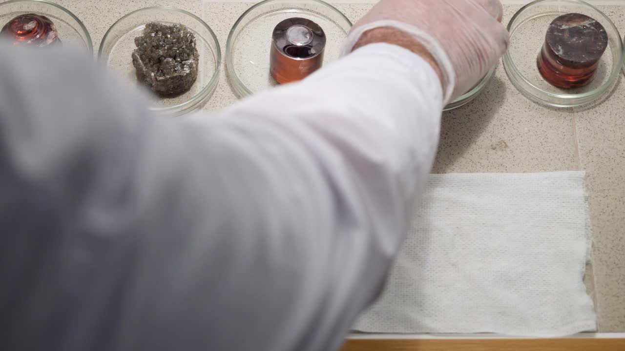 Laboratory experiment with samples in petri dishes