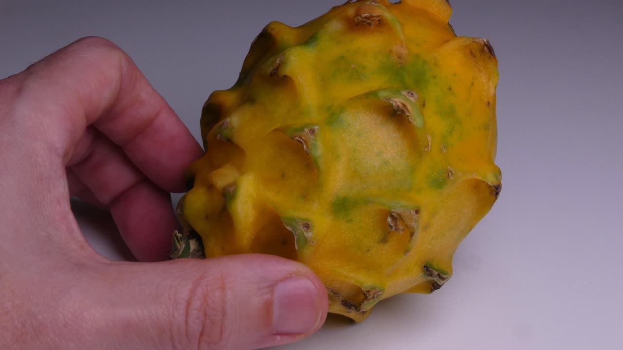 A hand moving around a yellow dragon fruit or Pitaya or also called Pitayaha on a white background