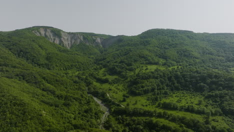 untouched environment of the eurasian wild forest, hills and natural stream