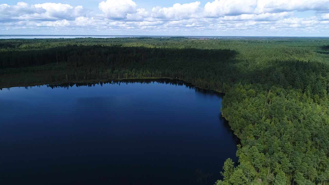 가을 색상의 상승된 늪지 공중 넓은 전망