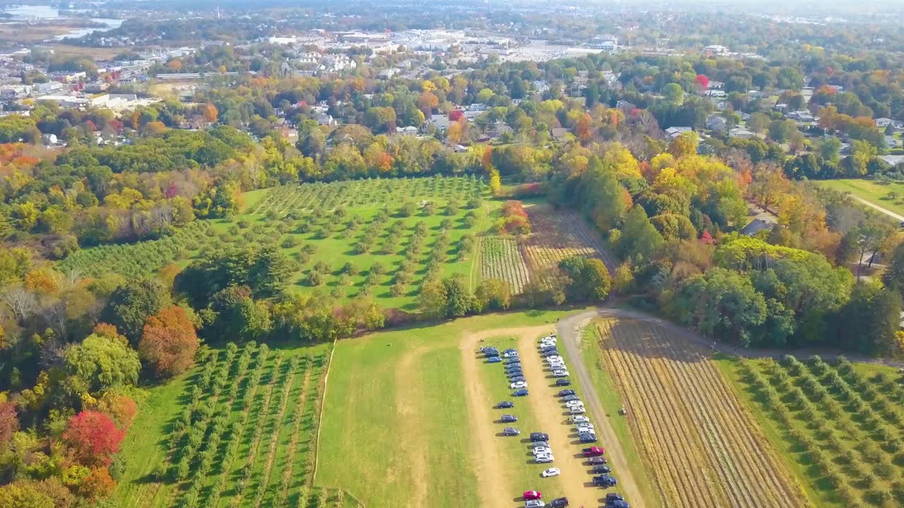 Historic Apple Picking Farm On Sunny Day In Peabody, Massachusetts. aerial tilt-up shot