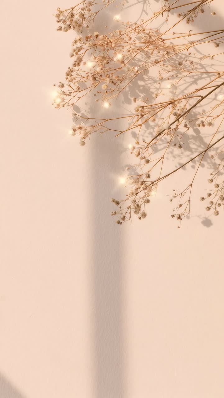 Minimalist video concept with dried flowers casting shadows on a beige wall