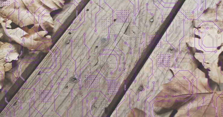 Upon starting camera filming angled planks with dry leaves, purple circuit showing digital contrast