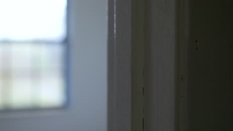person uses foam paint brush to paint door trim