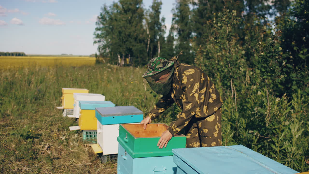 Beekeeper inspecting beehives
