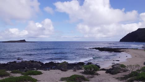 Imágenes-Aéreas-Avanzando-A-Través-De-Una-Playa-De-Arena-Con-Exuberante-Vegetación-Hacia-Las-Aguas-Azules-Del-Océano-Pacífico-En-La-Isla-De-Oahu-Hawaii-Con-Suaves-Olas-Rodando