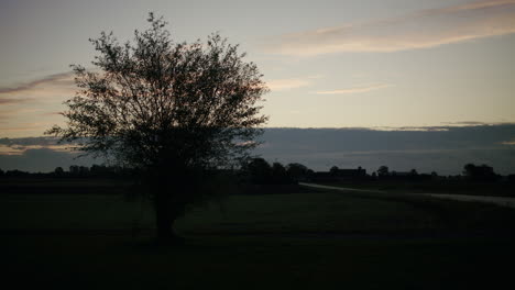 Langsames-Schwenken-Eines-Einsamen-Baumes-Während-Des-Sonnenaufgangs-Neben-Einer-Leeren-Straße