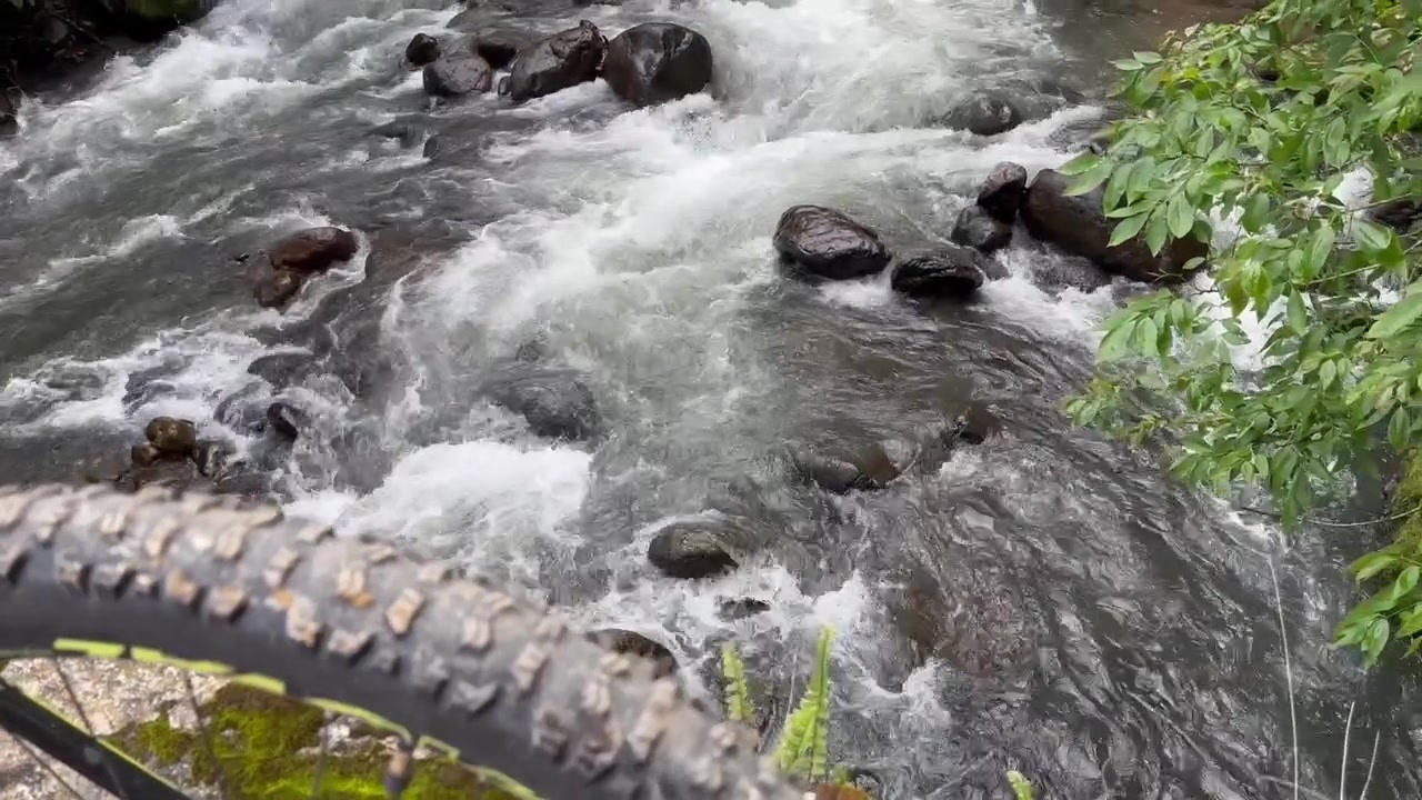 Fiume impetuoso che attraversa una foresta andina lussureggiante