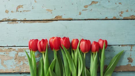 ramo de tulipanes rojos sobre un fondo de madera en el día de san valentín