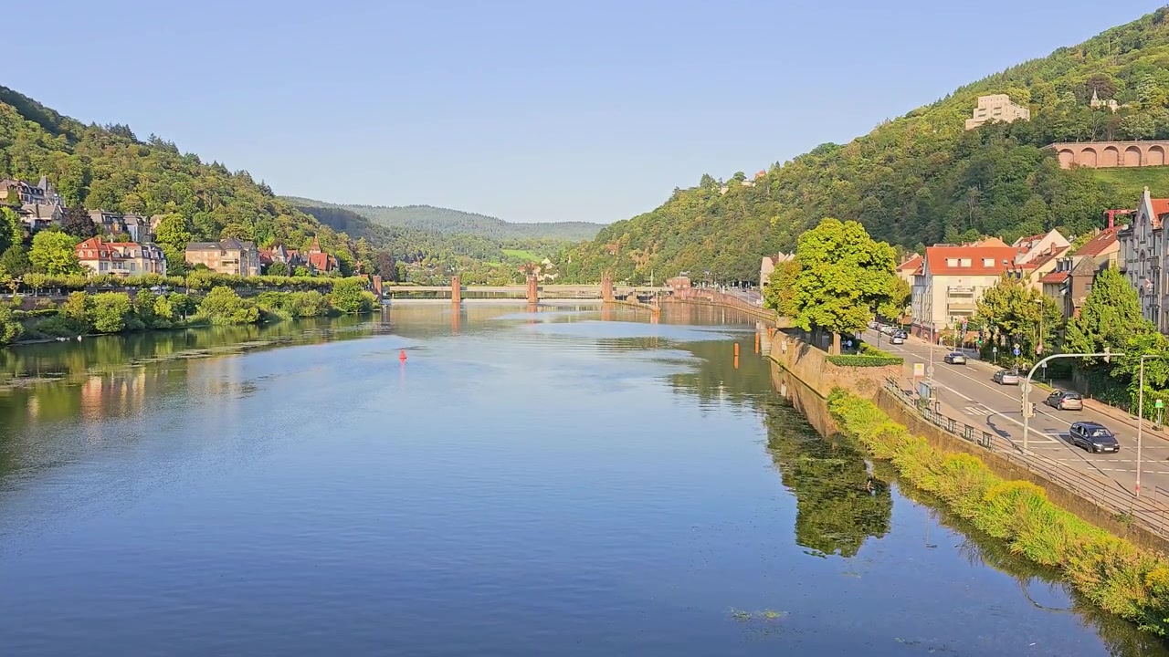 Heidelberg, Tyskland rejsebillede over Neckar-floden med gade langs floden, fortøjet båd, roere, huse på bakketoppen, frodig skov og glødende sollys, der reflekteres på det rolige vand