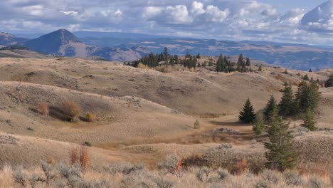 vista aérea del desierto semiárido y las colinas de pastizales