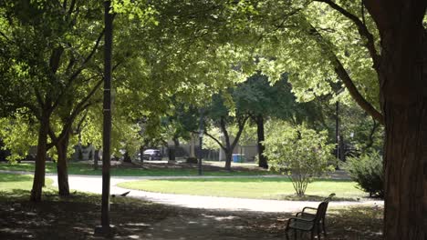 Public-Park-On-Sunny-Day