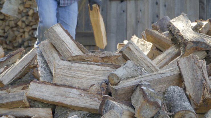 Man Picks up Logs from a Pile