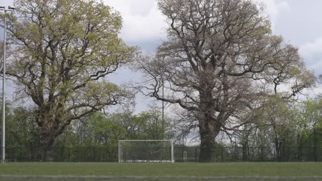 a wide shot of a football pitch on a warm day