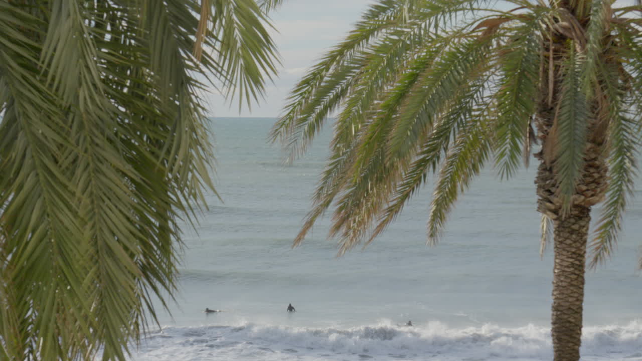 Group of surfers ride waves as palm leaves sway in the foreground