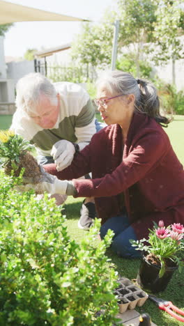 Vertical video of happy diverse senior couple working in garden