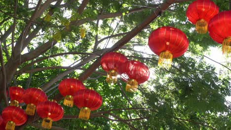 Red-lantern-in-row-with-background-green