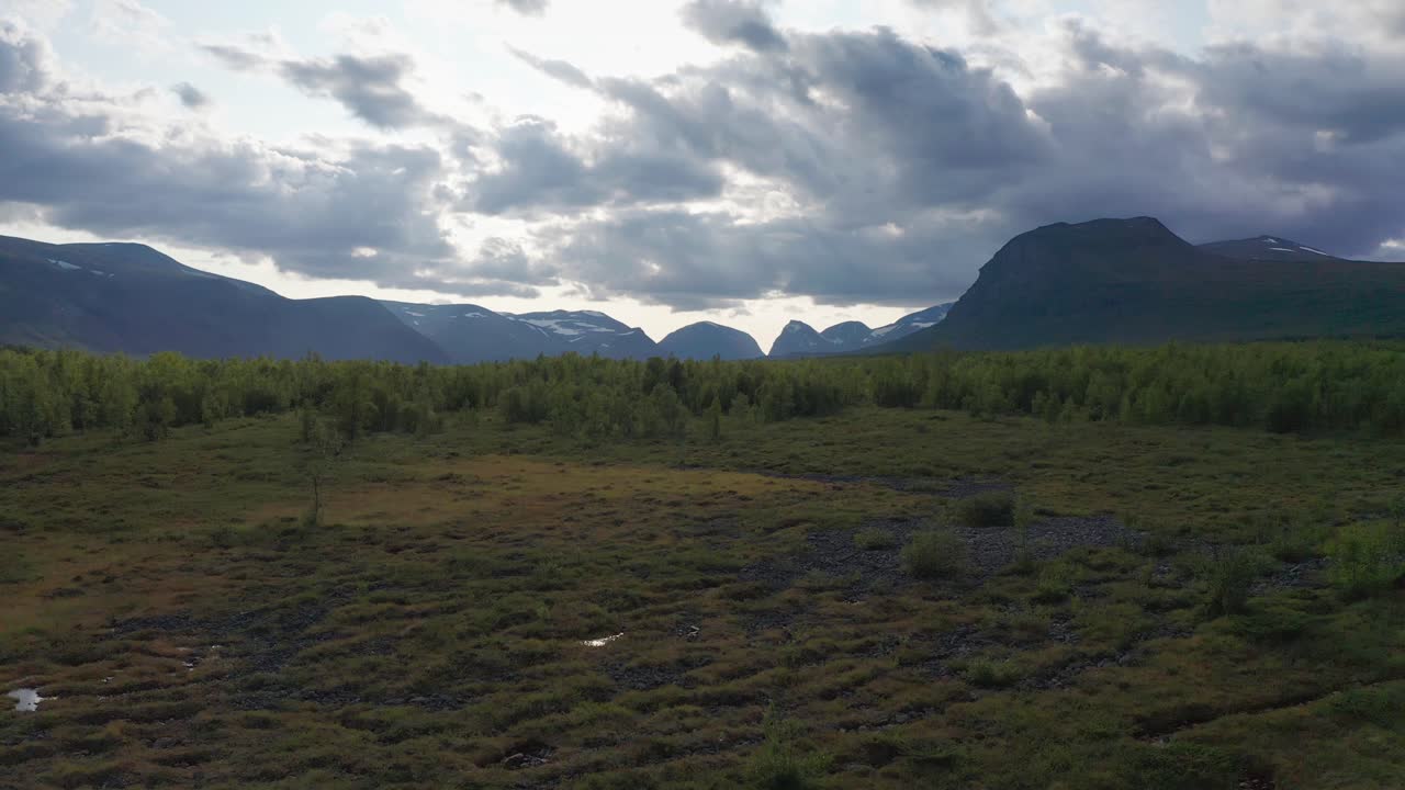 tomada de avión no tripulado de la naturaleza sueca en verano en escandinavia con cielo nublado