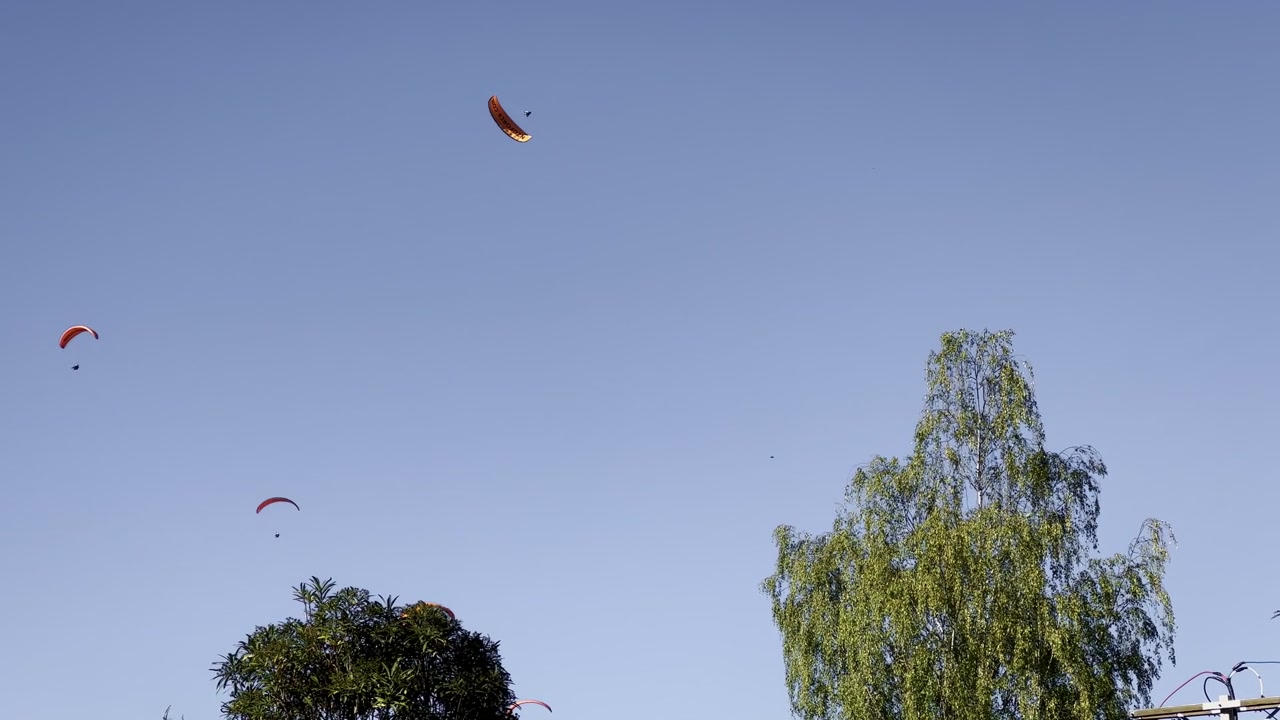 Diversi parapendii che volteggiano sopra le cime degli alberi frondosi in una splendida giornata di sole