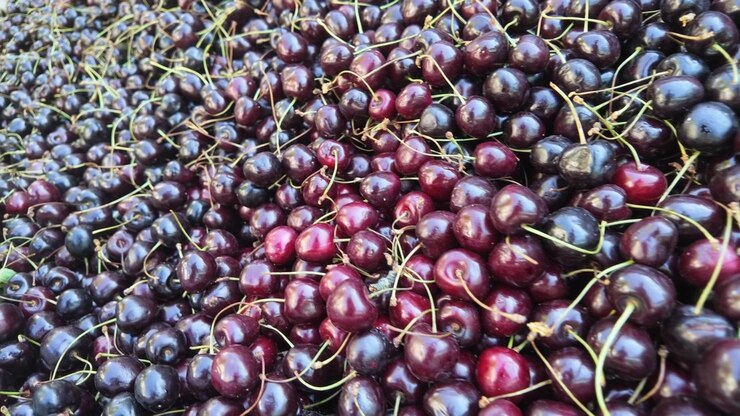 Ciliegie fresche e mature ammassate