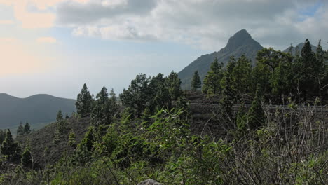 resumen de la carretera de montaña de tenerife con muchos árboles y nubes