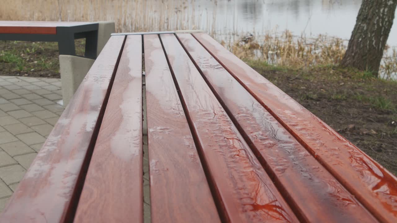 Wet Park Bench on a Rainy Day