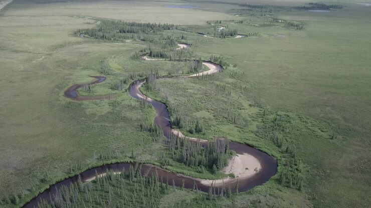 Ruscello unico in Alaska a forma di serpente sinuoso.