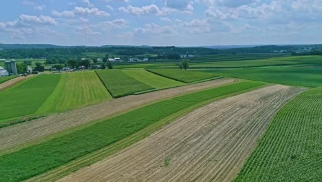 An-Aerial-Traveling-View-of-Corn-Fields-and-Harvesting-Crops,-with-Patches-of-Color-on-a-Beautiful-Summer-Day