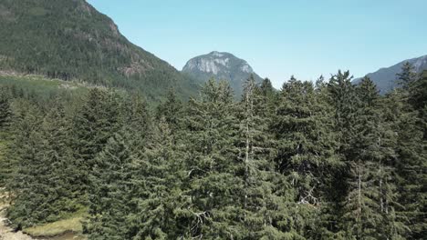 close flight over jervis inlet delta treetops reveal valley in bc, canada