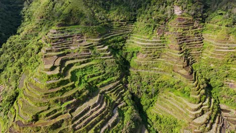 imágenes circulares de drones de terrazas de arroz soleadas en el norte de filipinas