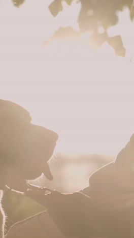 el dueño del perro en cuclillas en un campo cubierto de hierba, frotando suavemente la cabeza del perro con un guante de aseo mientras sostiene su correa, sonriendo afectuosamente bajo la cálida luz del sol, creando un efecto de silueta suave