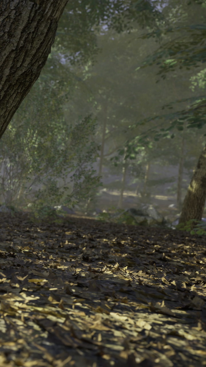 Sunlight dances through misty woods inviting exploration on a quiet morning